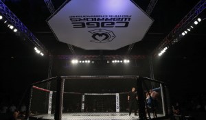 Exciting Updates in the World of MMA in 2023