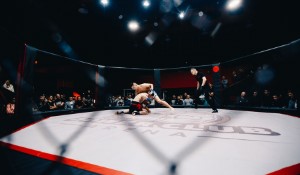 Exciting Updates in the World of MMA in 2023